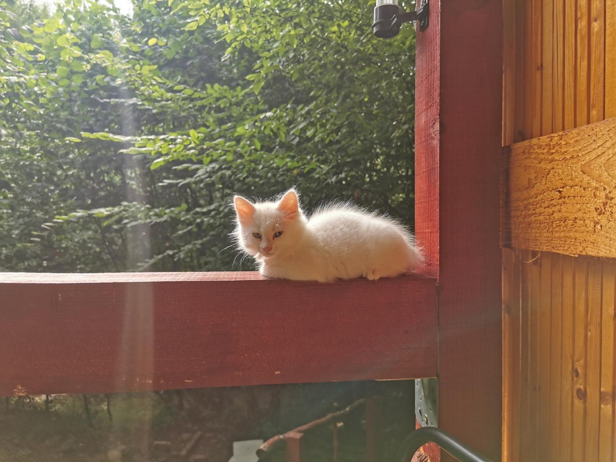 Cabana Lucia Tarcau Bagian luar foto